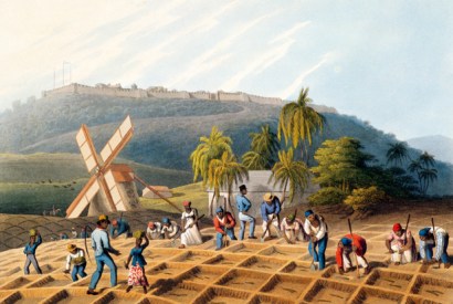 Slaves planting cane cuttings in Antigua, 1823, by William Clark