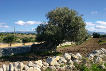 Sicily’s answer to the Cotswolds: Ragusa