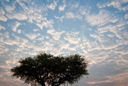 The parks are empty and the landscapes are yours