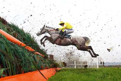 Ruby Walsh riding Al Ferof at Cheltenham
