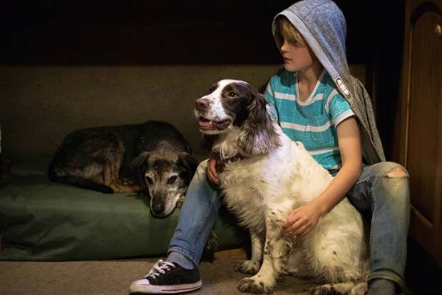 Love unflinching: every child should know it