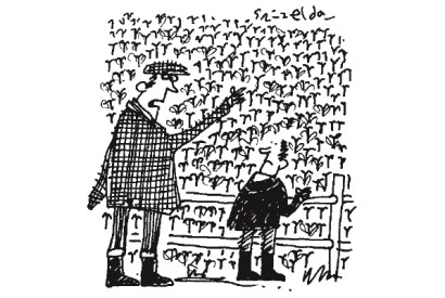 ‘I remember when all this was picked.’