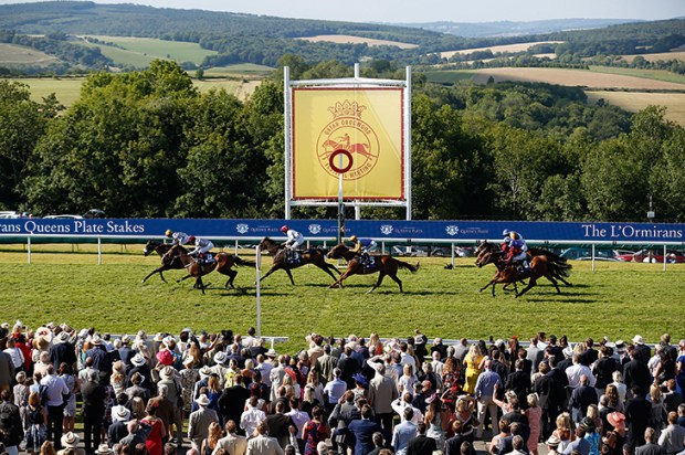 The Magnolia Cup: Will the race be to the Swift?