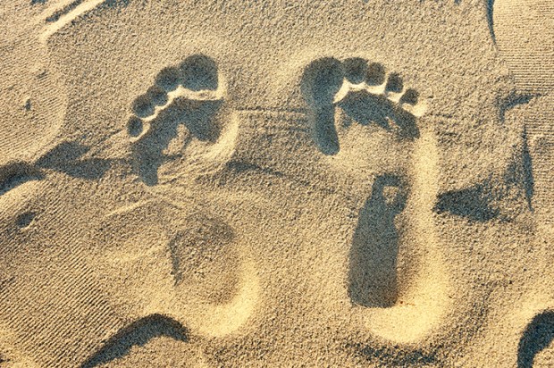 Credit: Getty Images