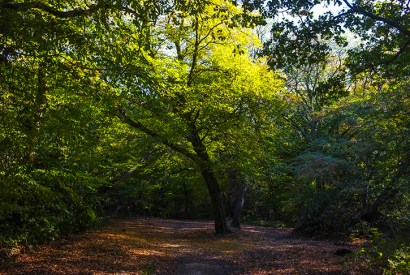 Credit: Getty Images