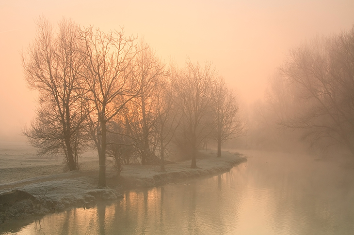 Credit: Getty Images