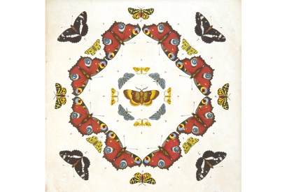 An illustration from Emperors, Admirals and Chimney Sweepers by Peter Marren