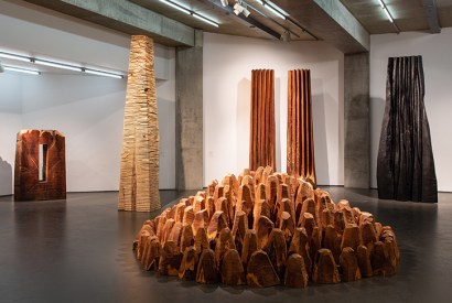 Inspiring and sweet-smelling: David Nash’s 200 Seasons at Towner Art Gallery
